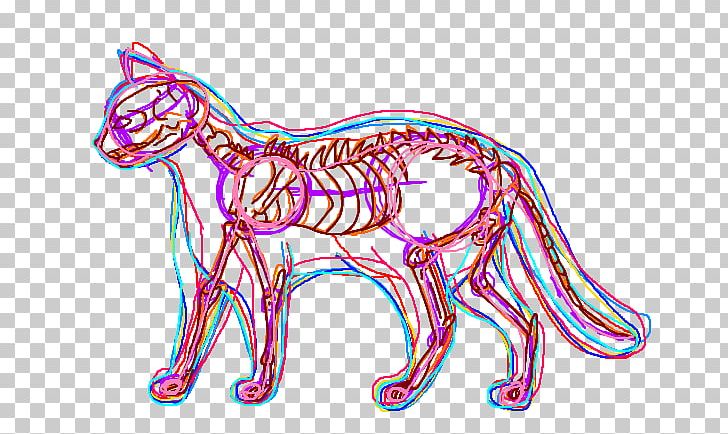 Cat Anatomy Kitten Drawing PNG, Clipart, Anatomy, Animal Figure, Animals, Area, Art Free PNG Download