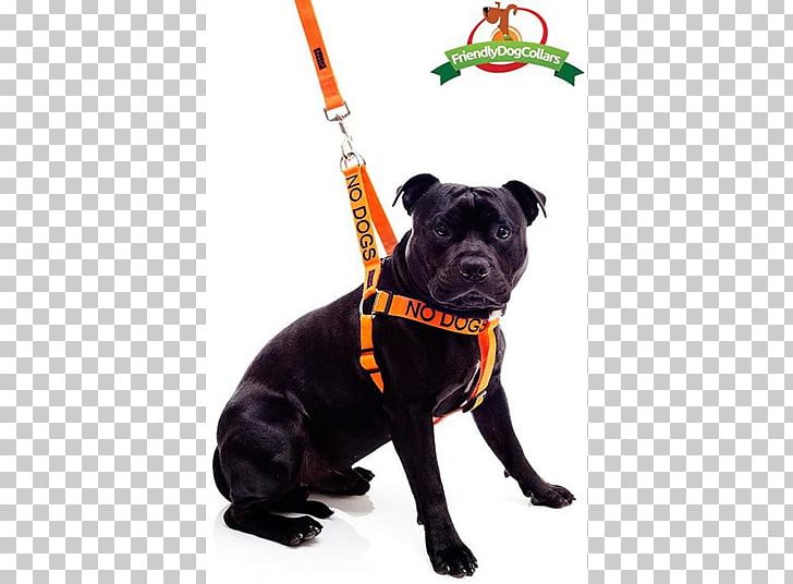 Dog Breed Staffordshire Bull Terrier Leash Harnais Dog Collar PNG, Clipart, Breed, Carnivoran, Collar, Communicatiemiddel, Dog Free PNG Download