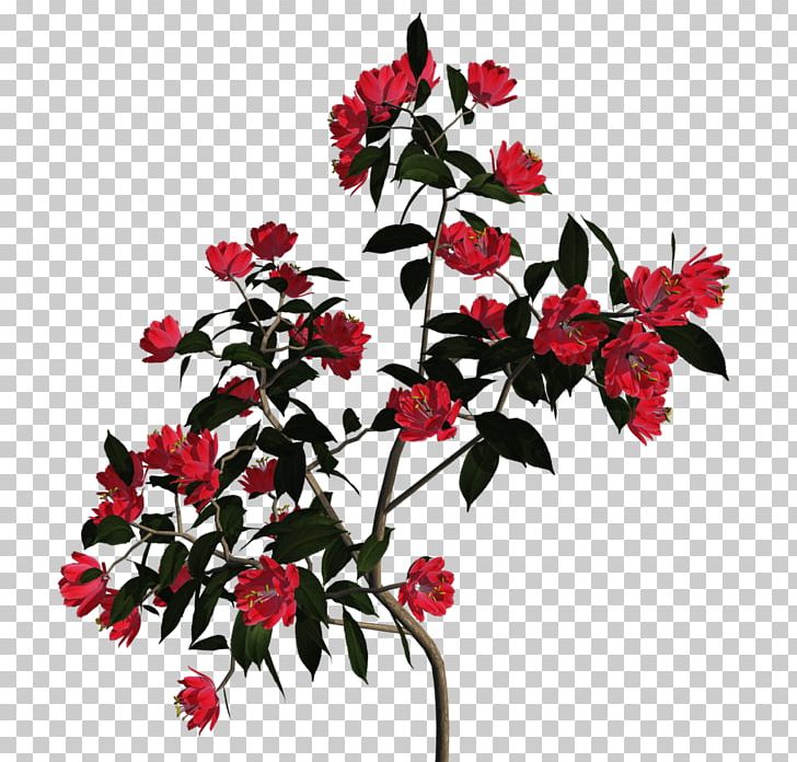 Floral Design Cut Flowers PNG, Clipart, 1080p, 2016, Author, Blossom, Branch Free PNG Download