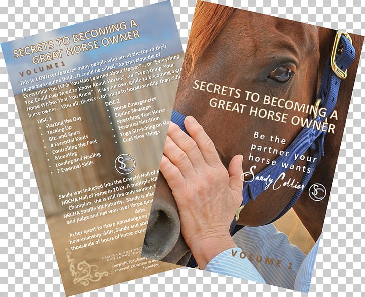 Horse DVD Video Knowledge PNG, Clipart, Advertising, Animals, Barb Horse, Book, Brand Free PNG Download