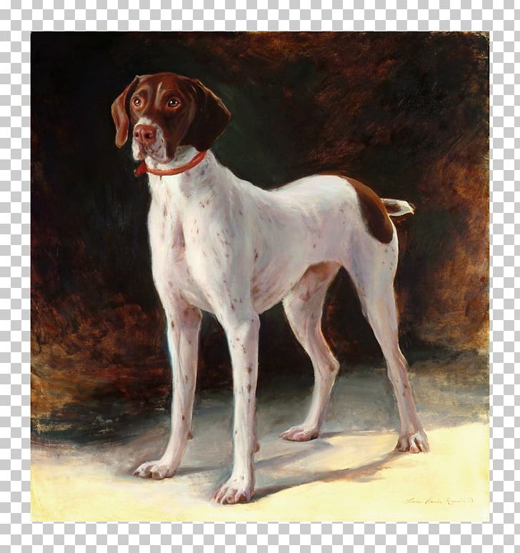 Old Danish Pointer Braque Saint-Germain American Foxhound English Foxhound PNG, Clipart, American Foxhound, Art, Carnivoran, Dog Breed, Dog Like Mammal Free PNG Download