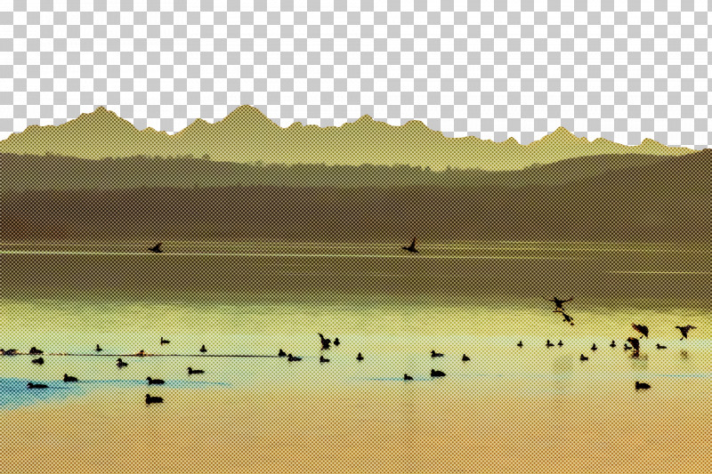 Water Resources Ecoregion Reservoir Birds Lough PNG, Clipart, Biology, Birds, Calm, Ecoregion, Lough Free PNG Download