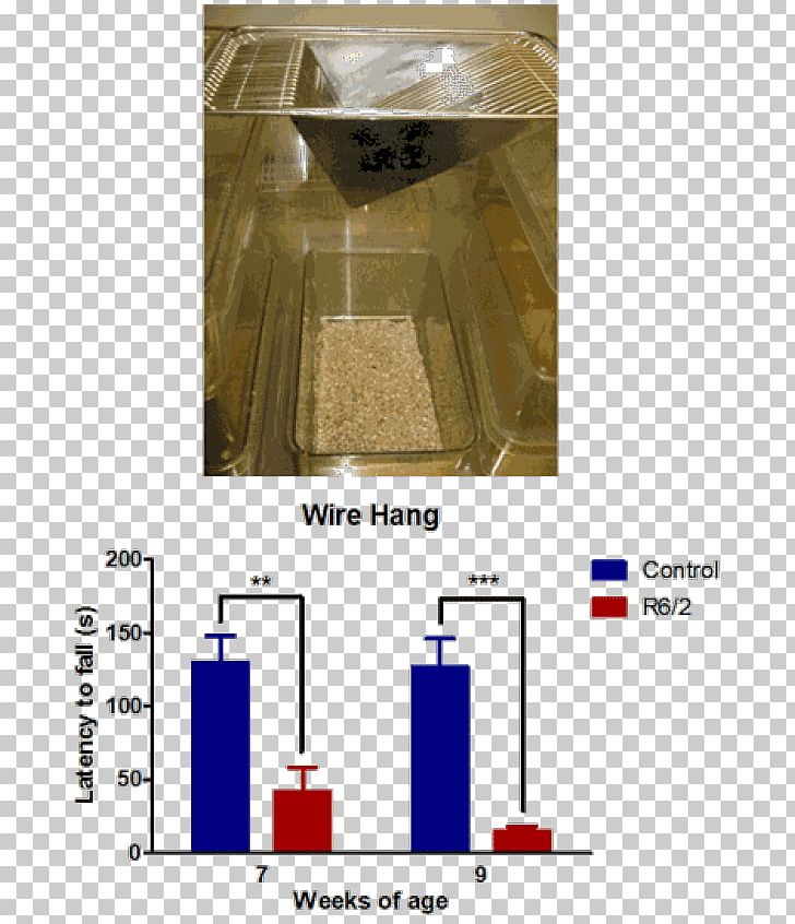 Genetically Modified Mouse Wire Test Rat PNG, Clipart, Angle, Animals, Animal Testing On Rodents, Behavior, Cage Free PNG Download