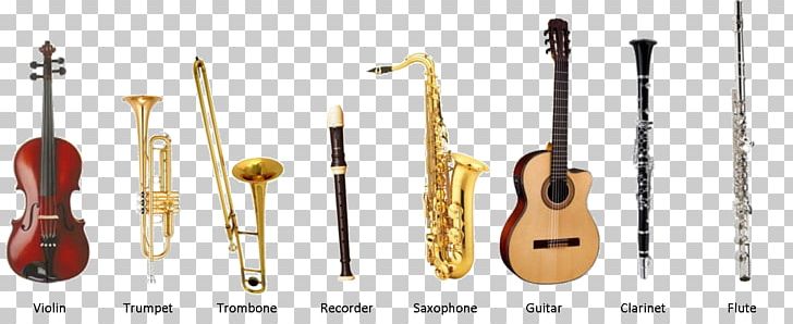 Guitar Musical Instruments Instrumental String Instruments PNG, Clipart, Acoustic Bass Guitar, Double Bass, Guitar, Hip Hop Production, Indian Musical Instruments Free PNG Download