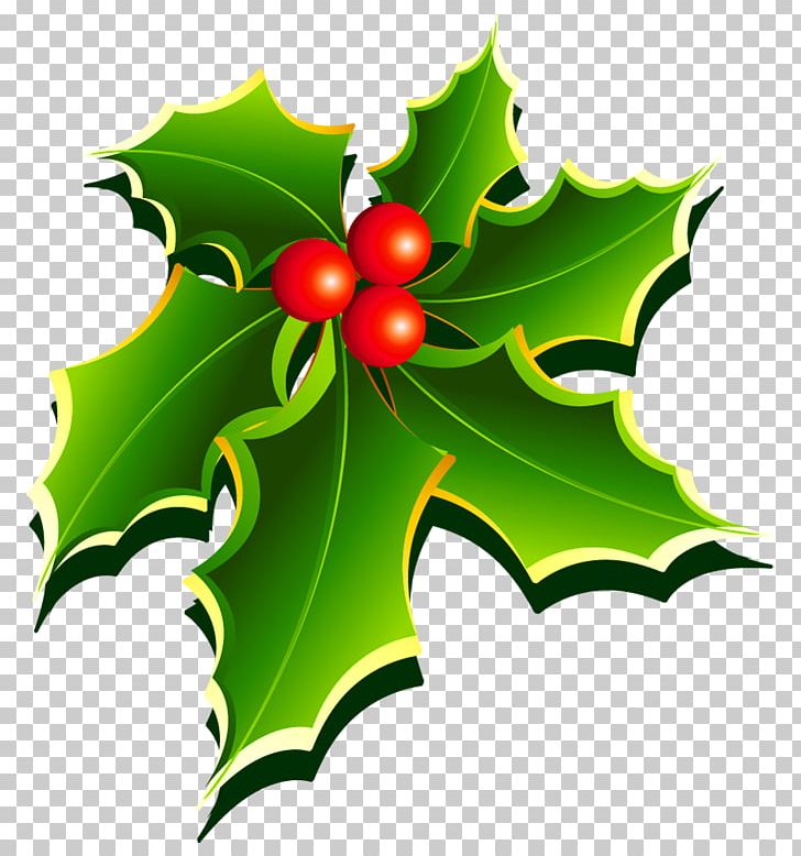 Mistletoe Christmas Holly PNG, Clipart, Aquifoliaceae, Aquifoliales, Christmas, Color, Flora Free PNG Download
