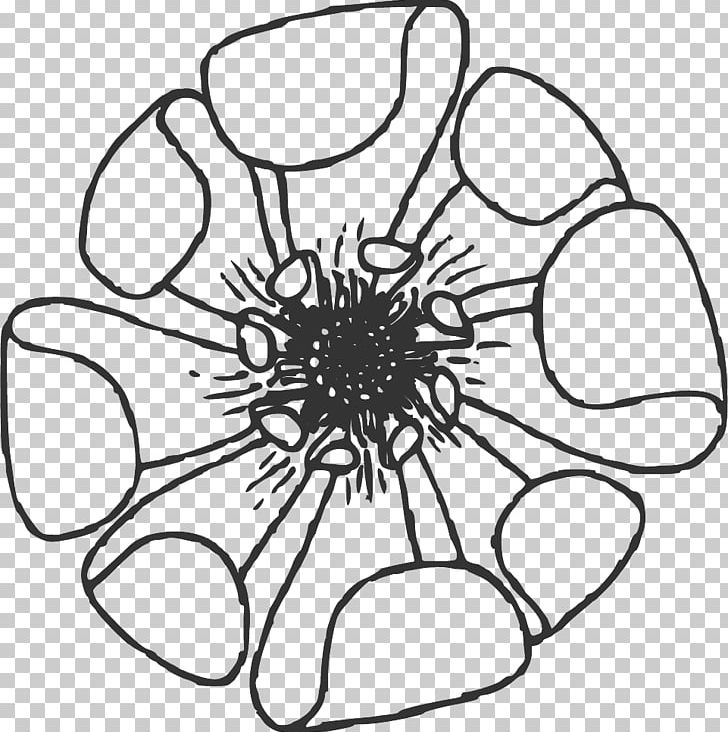 Vintage Floral Line Art. PNG, Clipart, Artwork, Black, Black And White, Circle, Cut Flowers Free PNG Download