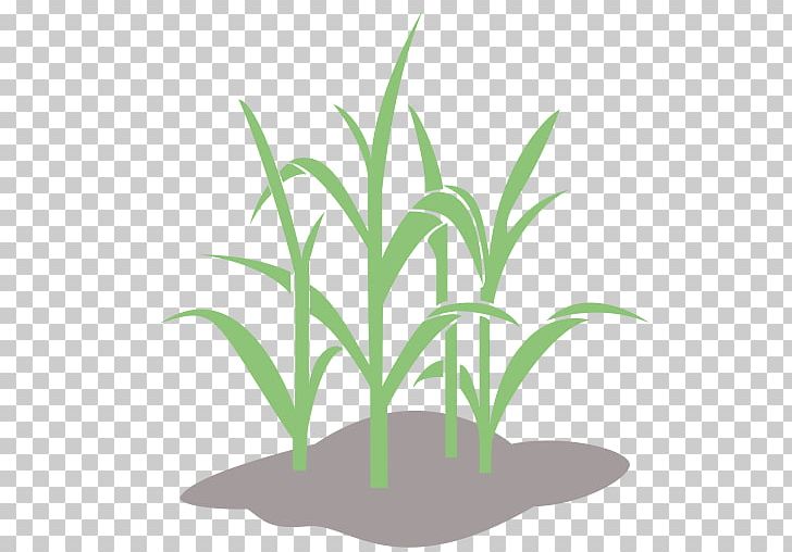 Wheat Computer Icons Desktop Crop PNG, Clipart, Commodity, Computer Icons, Crop, Desktop Wallpaper, Flowerpot Free PNG Download