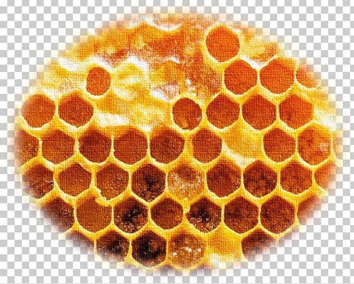 Bee Honeycomb Propolis Photography PNG, Clipart, Bee, Bee Pollen, Extract, Featurepics, Hexagon Free PNG Download