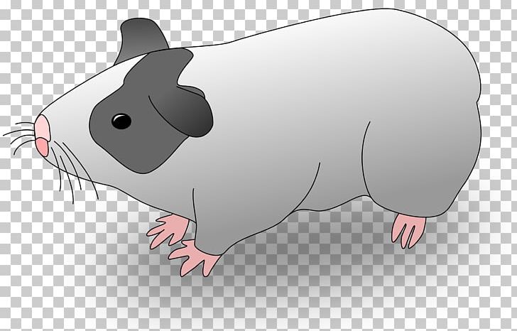 Guinea Pig Drawing PNG, Clipart, Animals, Cartoon, Drawing, Fauna, Guinea Pig Free PNG Download