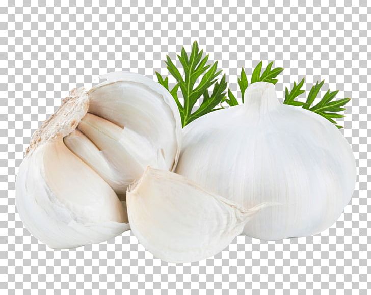Pesto Garlic Press Vegetable Food PNG, Clipart, 3d Three Dimensional Flower, Ajoene, Allicin, Cardamom, Cartoon Garlic Free PNG Download