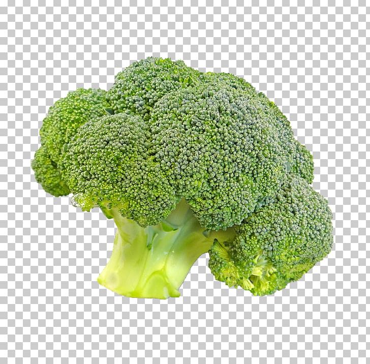 Broccoli Vegetable PNG, Clipart, Background Green, Broccoli, Cauliflower, Display Resolution, Food Free PNG Download