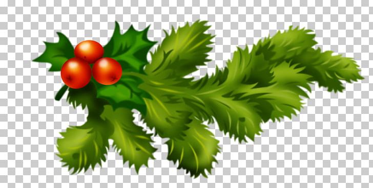 Christmas PNG, Clipart, Branch, Christmas, Christmas Plants, Desktop Wallpaper, Encapsulated Postscript Free PNG Download