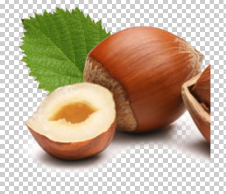Common Hazel Hazelnut Muesli Seed PNG, Clipart, Common Hazel, Dried Fruit, Food, Fruit, Gelato Free PNG Download