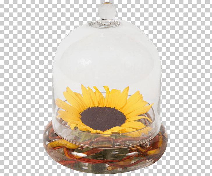 Common Sunflower Bud Garden Roses Vase PNG, Clipart, Bowl, Bud, Common Sunflower, Femininity, Flower Free PNG Download