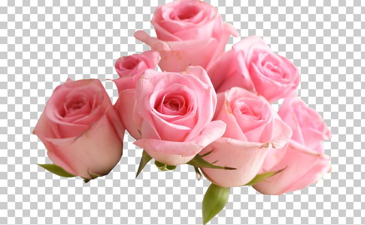Flower Bouquet Rose Paper Frames PNG, Clipart, Cut Flowers, Fleur, Floral Design, Floribunda, Floristry Free PNG Download