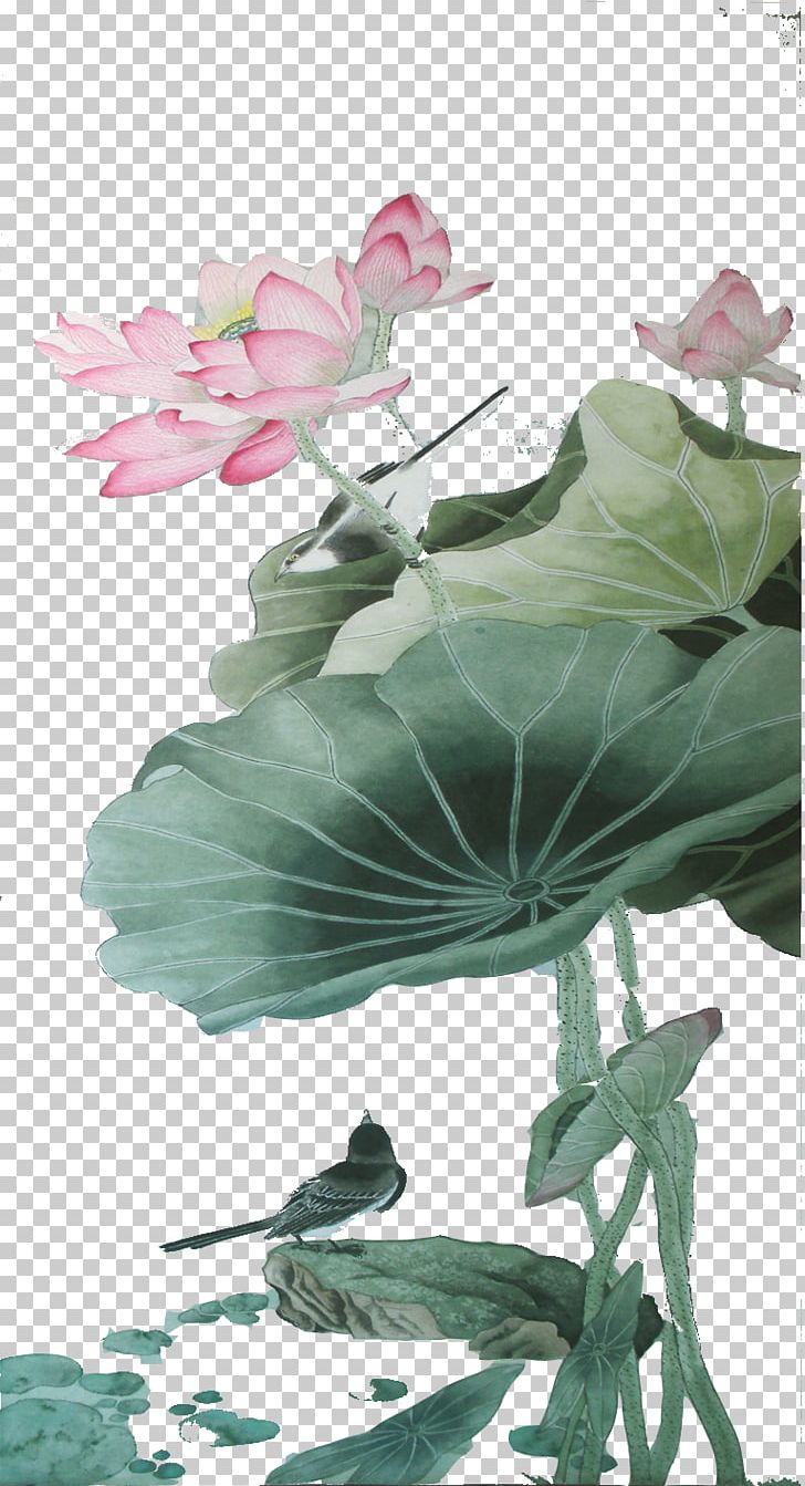Nelumbo Nucifera Leaf Google S PNG, Clipart, Branch, Chinese, Chinese Style, Euclidean Vector, Flora Free PNG Download