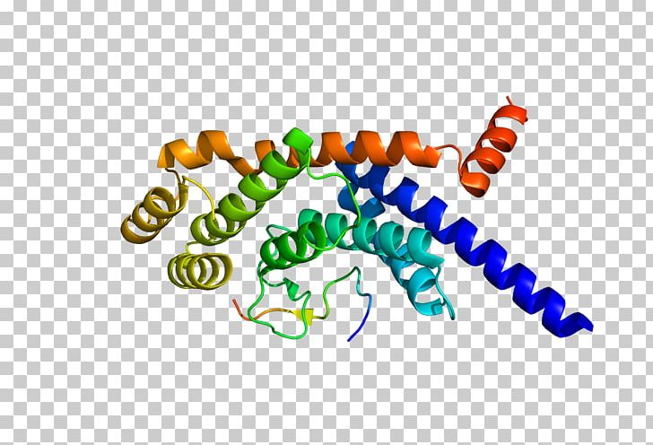 TINF2 TERF1 Shelterin Gene Telomere PNG, Clipart, Area, Chromosome, Gene, Genome, Line Free PNG Download