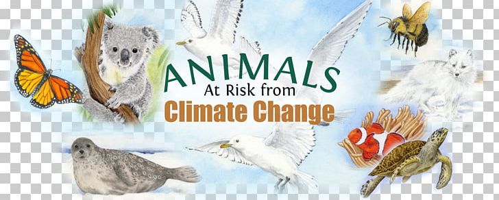 Climate Change Extinction Risk From Global Warming Turtle PNG, Clipart, Advertising, Animal, Animal Figure, Animals, Beak Free PNG Download