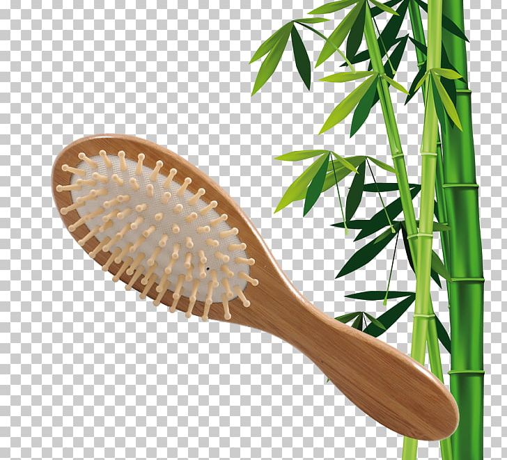 Towel Hairbrush Tropical Woody Bamboos Bathroom PNG, Clipart, Baboo, Bathroom, Brush, Cosmetics, Grass Free PNG Download