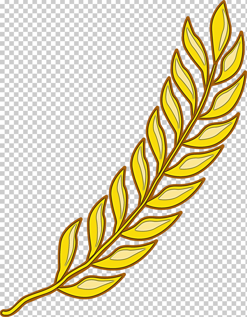 Feather PNG, Clipart, Elymus Repens, Feather, Grass Family, Leaf, Plant Free PNG Download