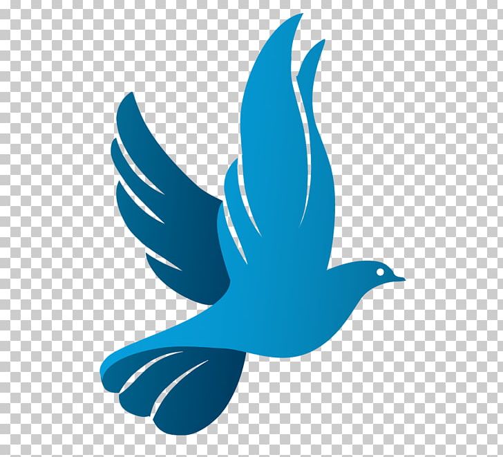 Columbidae Doves As Symbols Logo PNG, Clipart, Animals, Beak, Bird, Columbidae, Computer Icons Free PNG Download