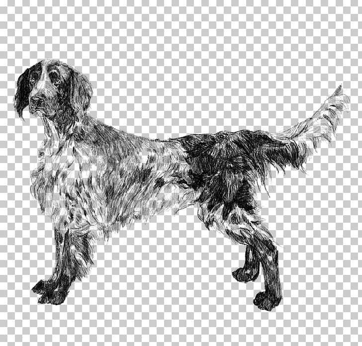 English Setter Small Münsterländer Russian Spaniel Dog Breed Large Münsterländer PNG, Clipart, Black And White, Breed, Carnivoran, Companion Dog, Dog Free PNG Download