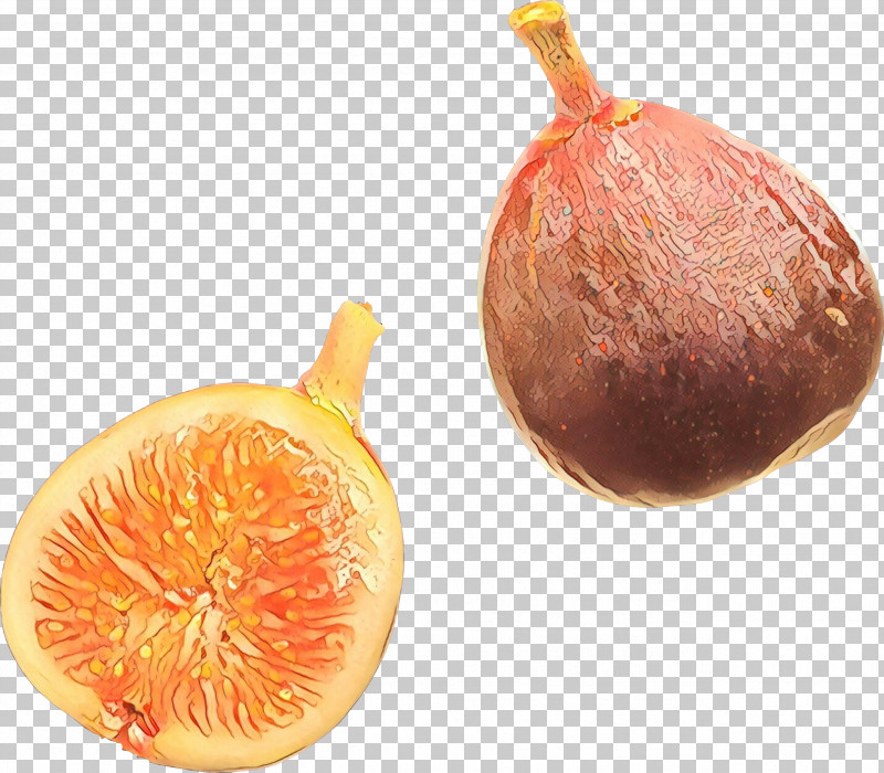 Common Fig Food Fruit Plant Natural Foods PNG, Clipart, Common Fig, Fig, Food, Fruit, Natural Foods Free PNG Download