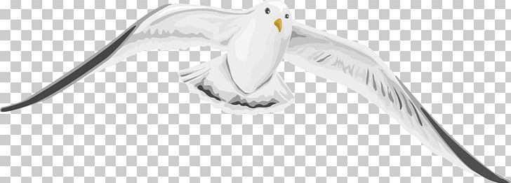 Beak White Technology PNG, Clipart, Animals, Beak, Bird, Bird Goose, Black Free PNG Download