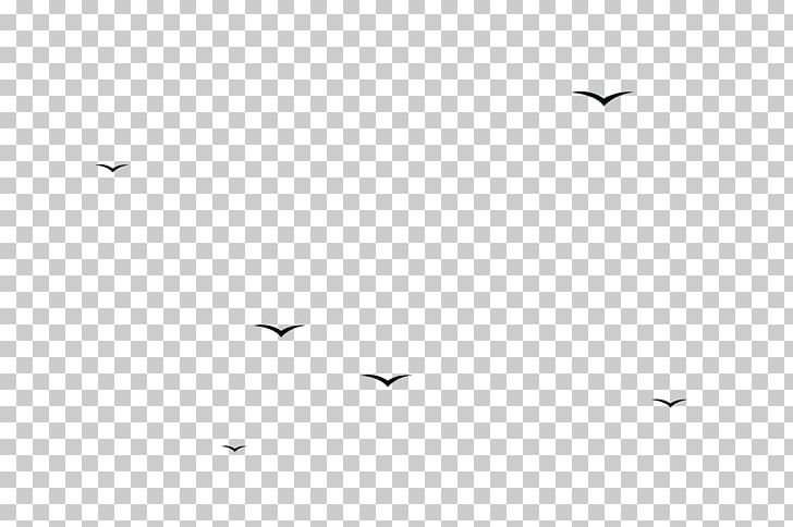 Bird Black And White Monochrome Photography Animal Migration PNG, Clipart, Angle, Animal, Animal Migration, Animals, Area Free PNG Download