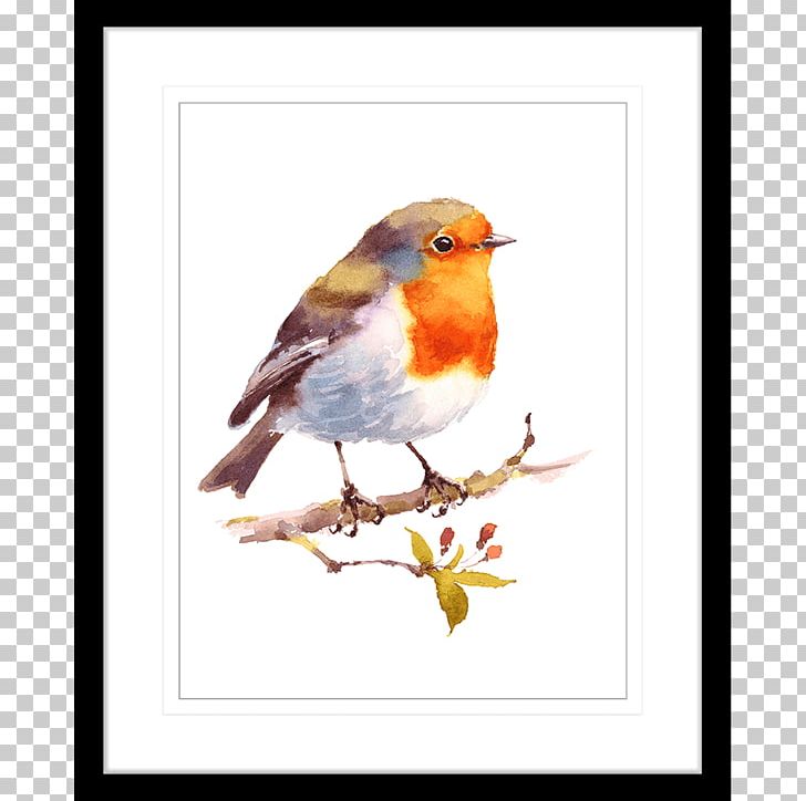 Bird European Robin Watercolor Painting Drawing PNG, Clipart, American Robin, Animals, Art, Beak, Bird Free PNG Download