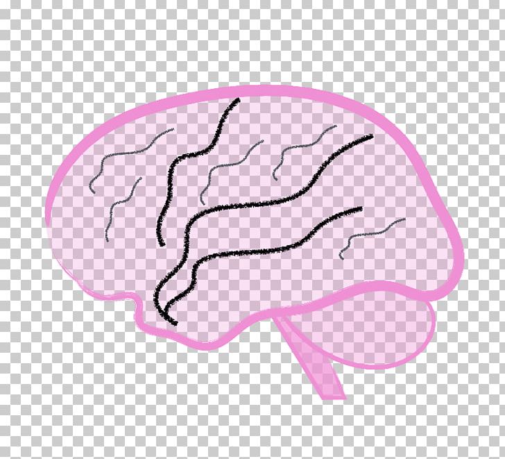 Brain Pink M Finger PNG, Clipart, Area, Brain, Finger, Hand, Human Body Free PNG Download