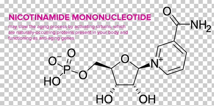 Dietary Supplement Nicotinamide Mononucleotide Lipoic Acid Ascorbic Acid PNG, Clipart, Ageing, Angle, Antioxidant, Ascorbic Acid, Black Free PNG Download