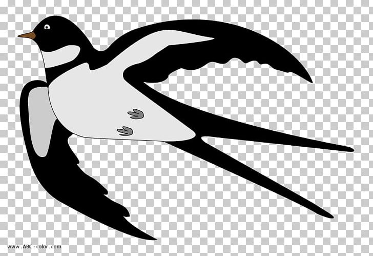 Yandex Search Bird PNG, Clipart, Beak, Bird, Black And White, Child, Drawing Free PNG Download