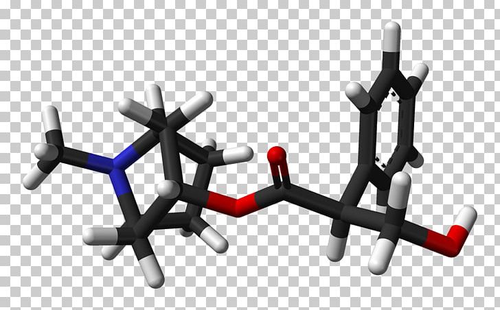 Belladonna Atropine Hyoscyamine Hyoscine Alkaloid PNG, Clipart, Acetylcholine, Acid, Alkaloid, Angle, Atropa Free PNG Download