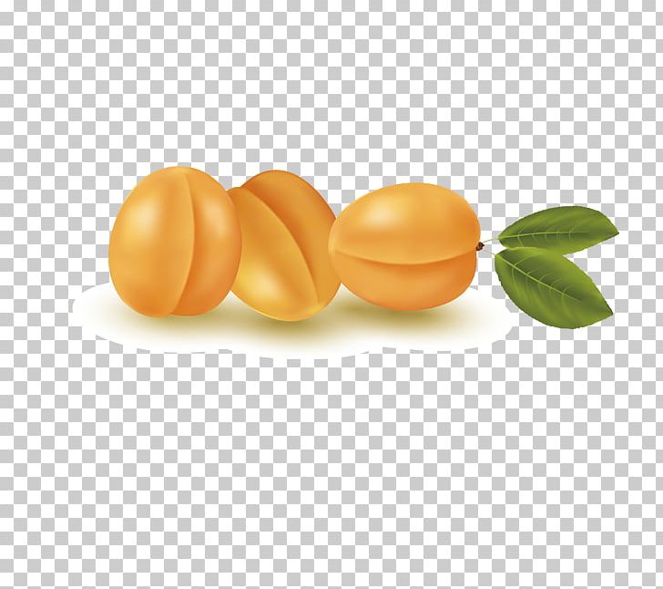 Apricot Euclidean Auglis PNG, Clipart, Apple Fruit, Apricot, Apricot Vector, Auglis, Encapsulated Postscript Free PNG Download