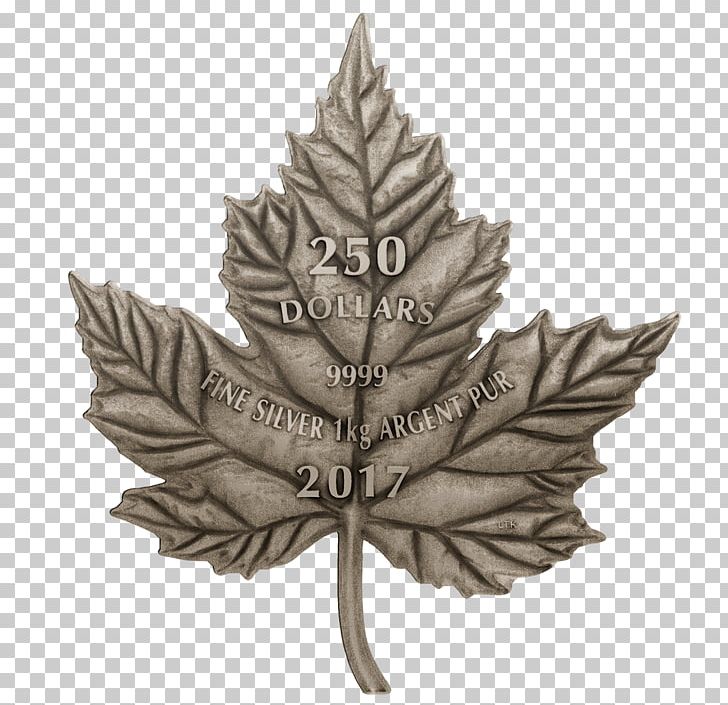 Flag Of Canada The Maple Leaf Forever Canadian Silver Maple Leaf PNG, Clipart, Canada, Canadian Gold Maple Leaf, Canadian Maple Leaf, Canadian Silver Maple Leaf, Coin Free PNG Download
