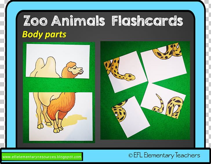 Flashcard English As A Second Or Foreign Language Animal Teacher Game PNG, Clipart, Animal, Area, Art, Cartoon, Englishlanguage Learner Free PNG Download
