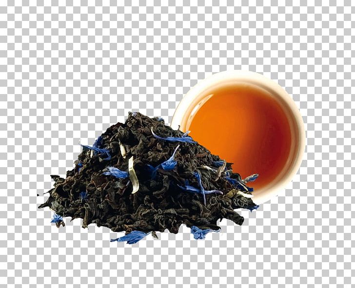 Earl Grey Tea Green Tea Bubble Tea White Tea PNG, Clipart, Assam Tea, Bancha, Bergamot Orange, Black Tea, Camellia Sinensis Free PNG Download