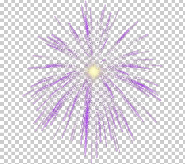 Fireworks Photography PNG, Clipart, Adobe Fireworks, Closeup, Desktop Wallpaper, Download, Firecracker Free PNG Download