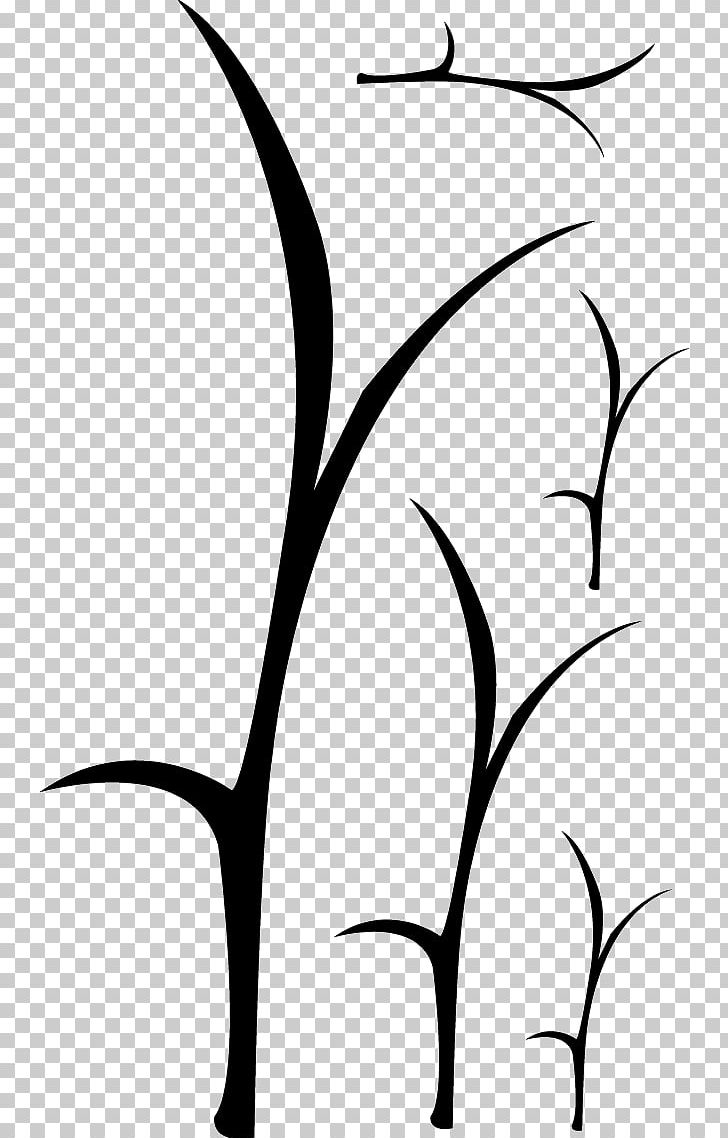 Twig Silhouette Line Art Plant Stem PNG, Clipart, Artwork, Black, Black And White, Black M, Branch Free PNG Download