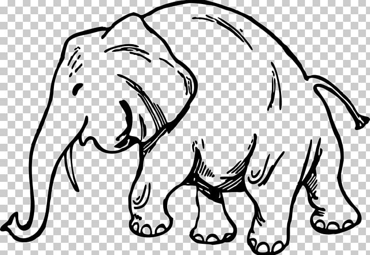 Whiskers Drawing Elephantidae PNG, Clipart, Big Cats, Black, Carnivoran, Cartoon, Cat Like Mammal Free PNG Download