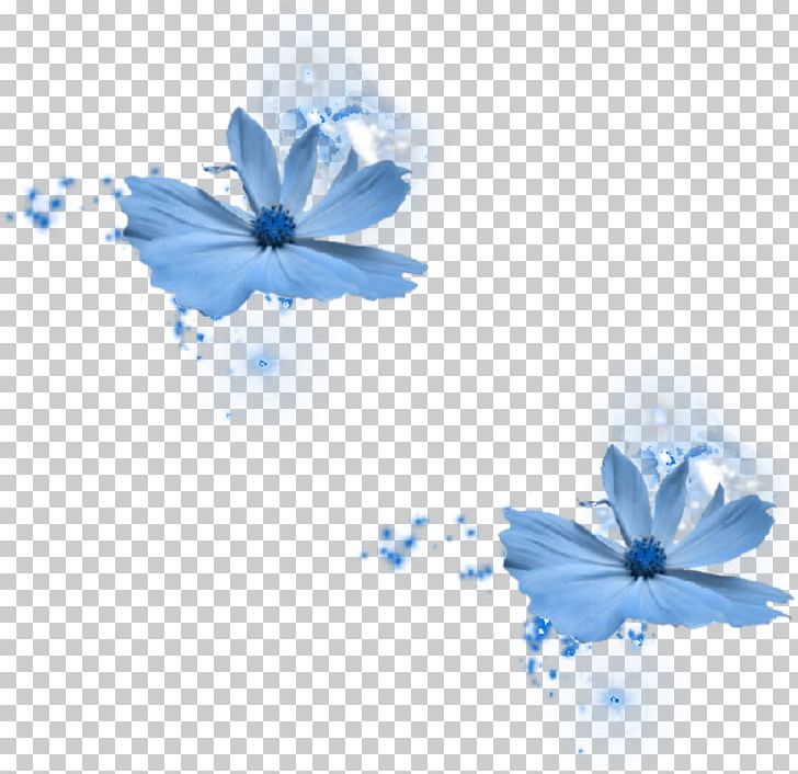 Blue Rose Blue Flower PNG, Clipart, Blue, Blue Flower, Blue Rose, Butterfly, Color Free PNG Download