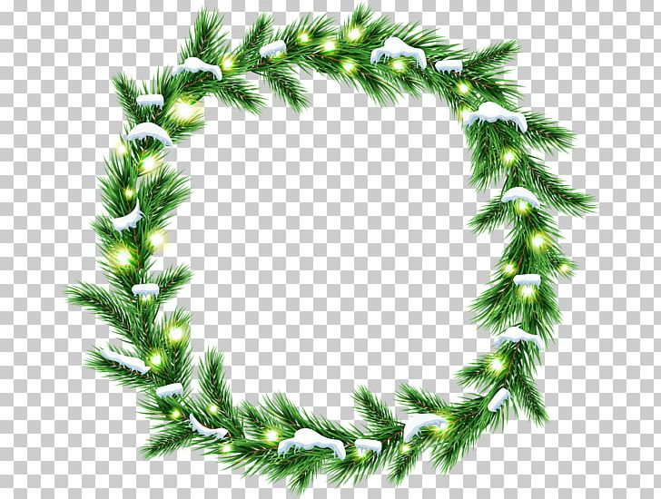 Christmas PNG, Clipart, Branch, Christmas, Christmas Decoration, Christmas Ornament, Conifer Free PNG Download