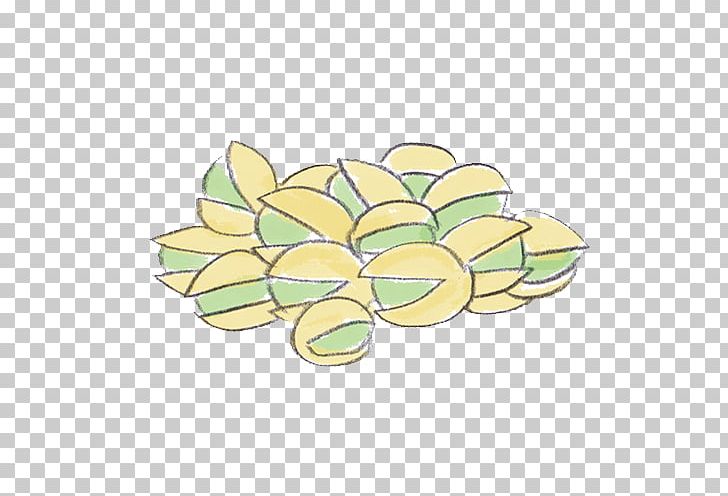 Flower Petal Yellow PNG, Clipart, Circle, Flower, Fruit, Fruit Nut, Line Free PNG Download