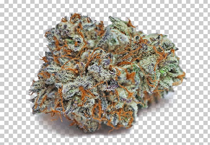 Los Angeles Patients & Caregivers Group {LAPCG} Cannabis Shop Dispensary Location PNG, Clipart, California, Cannabis, Cannabis Shop, Dispensary, Dreamy Effect Free PNG Download