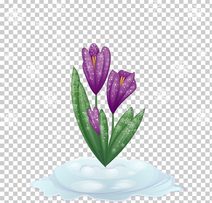 Purple Tulip Flower PNG, Clipart, Alone, Alone Vector, Art, Beach Rose, Designer Free PNG Download