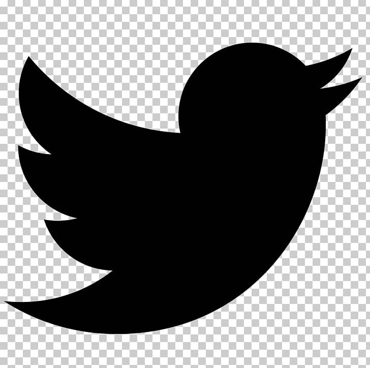 Silhouette Computer Icons Twitter PNG, Clipart, Beak, Bird, Black, Black And White, Clip Art Free PNG Download