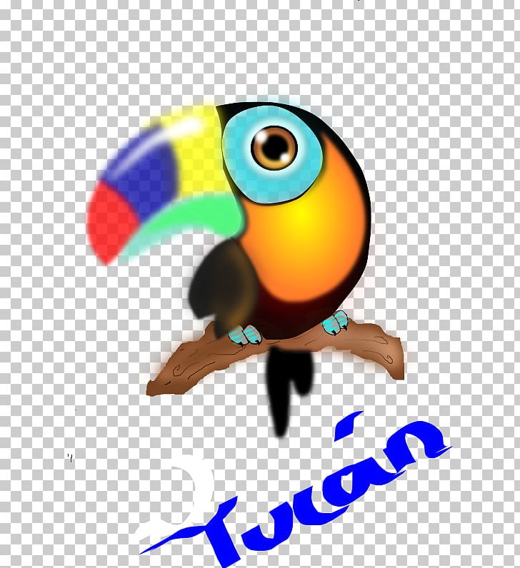 Toucan Bird Parrot PNG, Clipart, Animals, Beak, Bird, Computer Icons, Computer Wallpaper Free PNG Download