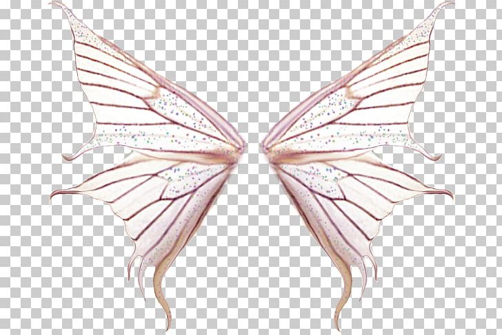 Butterfly PNG, Clipart, Adobe Illustrator, Angel Wings, Butterfly Wings, Chicken Wings, Encapsulated Postscript Free PNG Download