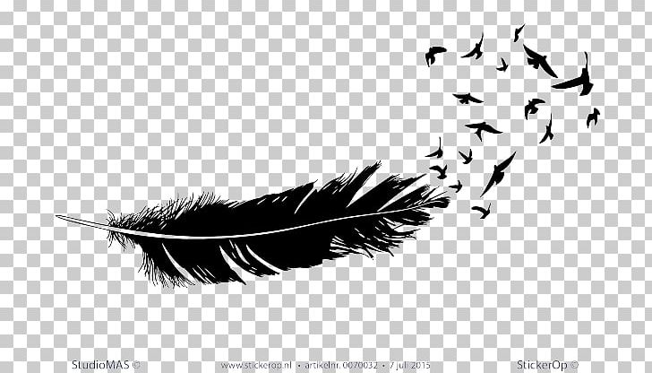 Feather Bird Beak Wing Tail PNG, Clipart, Beak, Bird, Black, Black And White, Computer Wallpaper Free PNG Download